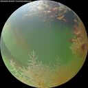 ./images/calvert/underwater/20260803/underwater20260803_202001M.jpg