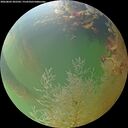 ./images/calvert/underwater/20260803/underwater20260803_202501M.jpg