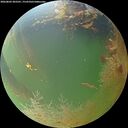 ./images/calvert/underwater/20260803/underwater20260803_203501M.jpg
