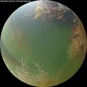 ./images/calvert/underwater/20260803/underwater20260803_205501M.jpg