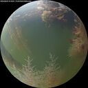 ./images/calvert/underwater/20260803/underwater20260803_211001M.jpg