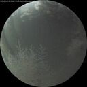 ./images/calvert/underwater/20260804/underwater20260804_053501M.jpg