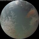 ./images/calvert/underwater/20260804/underwater20260804_054501M.jpg
