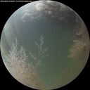 ./images/calvert/underwater/20260804/underwater20260804_055002M.jpg