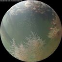 ./images/calvert/underwater/20260804/underwater20260804_061002M.jpg