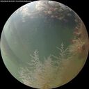./images/calvert/underwater/20260804/underwater20260804_061501M.jpg