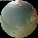 ./images/calvert/underwater/20260804/underwater20260804_062001M.jpg