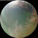 ./images/calvert/underwater/20260804/underwater20260804_062501M.jpg