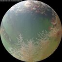 ./images/calvert/underwater/20260804/underwater20260804_063501M.jpg