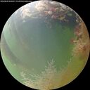 ./images/calvert/underwater/20260804/underwater20260804_065001M.jpg