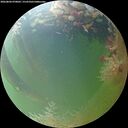 ./images/calvert/underwater/20260804/underwater20260804_070001M.jpg