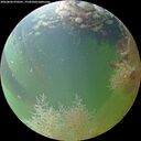 ./images/calvert/underwater/20260804/underwater20260804_070501M.jpg