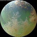 ./images/calvert/underwater/20260804/underwater20260804_071001M.jpg