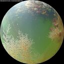 ./images/calvert/underwater/20260804/underwater20260804_071501M.jpg
