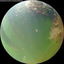 ./images/calvert/underwater/20260804/underwater20260804_072501M.jpg