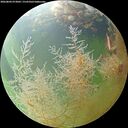 ./images/calvert/underwater/20260804/underwater20260804_073001M.jpg