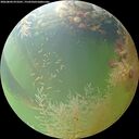./images/calvert/underwater/20260804/underwater20260804_073501M.jpg
