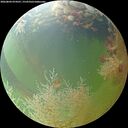 ./images/calvert/underwater/20260804/underwater20260804_074501M.jpg