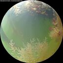 ./images/calvert/underwater/20260804/underwater20260804_075001M.jpg