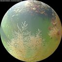 ./images/calvert/underwater/20260804/underwater20260804_080001M.jpg