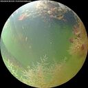 ./images/calvert/underwater/20260804/underwater20260804_081502M.jpg