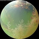 ./images/calvert/underwater/20260804/underwater20260804_082501M.jpg