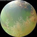 ./images/calvert/underwater/20260804/underwater20260804_083001M.jpg