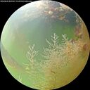 ./images/calvert/underwater/20260804/underwater20260804_083502M.jpg
