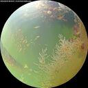 ./images/calvert/underwater/20260804/underwater20260804_084501M.jpg
