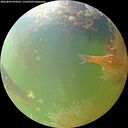 ./images/calvert/underwater/20260804/underwater20260804_094501M.jpg