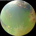 ./images/calvert/underwater/20260804/underwater20260804_095001M.jpg