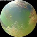 ./images/calvert/underwater/20260804/underwater20260804_100501M.jpg