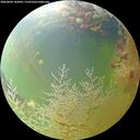 ./images/calvert/underwater/20260804/underwater20260804_102001M.jpg
