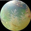 ./images/calvert/underwater/20260804/underwater20260804_102501M.jpg