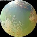 ./images/calvert/underwater/20260804/underwater20260804_104501M.jpg