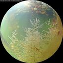 ./images/calvert/underwater/20260804/underwater20260804_105001M.jpg