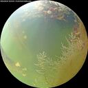 ./images/calvert/underwater/20260804/underwater20260804_105501M.jpg