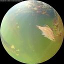 ./images/calvert/underwater/20260804/underwater20260804_110002M.jpg