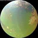 ./images/calvert/underwater/20260804/underwater20260804_111501M.jpg