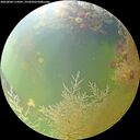 ./images/calvert/underwater/20260804/underwater20260804_115001M.jpg