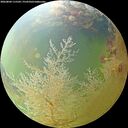 ./images/calvert/underwater/20260804/underwater20260804_115502M.jpg