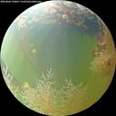 ./images/calvert/underwater/20260804/underwater20260804_120002M.jpg