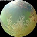 ./images/calvert/underwater/20260804/underwater20260804_120501M.jpg