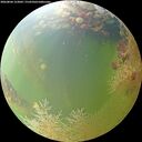 ./images/calvert/underwater/20260804/underwater20260804_123001M.jpg