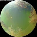 ./images/calvert/underwater/20260804/underwater20260804_124001M.jpg