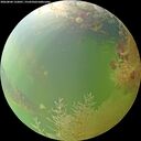 ./images/calvert/underwater/20260804/underwater20260804_132001M.jpg