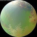 ./images/calvert/underwater/20260804/underwater20260804_132501M.jpg