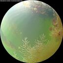 ./images/calvert/underwater/20260804/underwater20260804_133001M.jpg