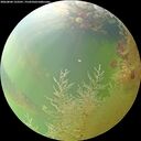 ./images/calvert/underwater/20260804/underwater20260804_133502M.jpg