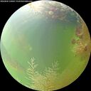 ./images/calvert/underwater/20260804/underwater20260804_134001M.jpg